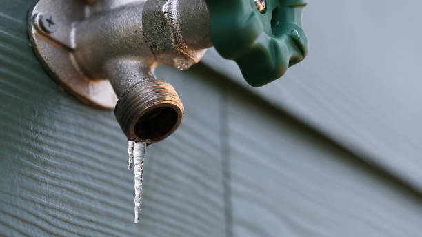 Best Plumbing Inspection Services  in Kendall, FL